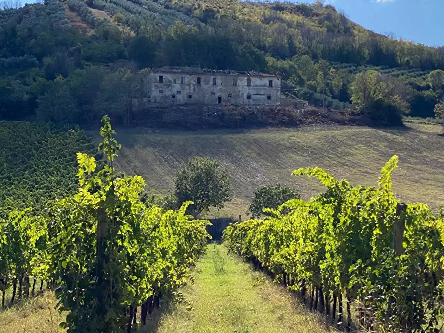 Immagine 2 di Casa indipendente in vendita  in via piane tronto a Ancarano