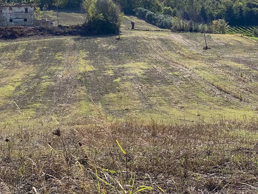 Immagine 4 di Casa indipendente in vendita  in via piane tronto a Ancarano
