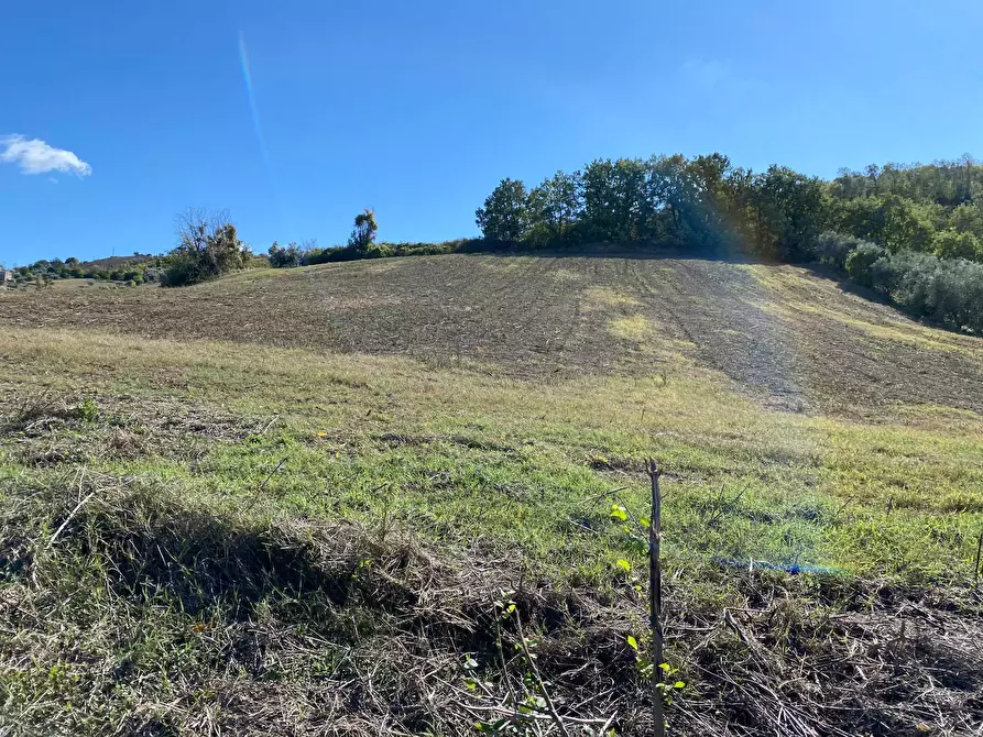 Immagine 7 di Casa indipendente in vendita  in via piane tronto a Ancarano