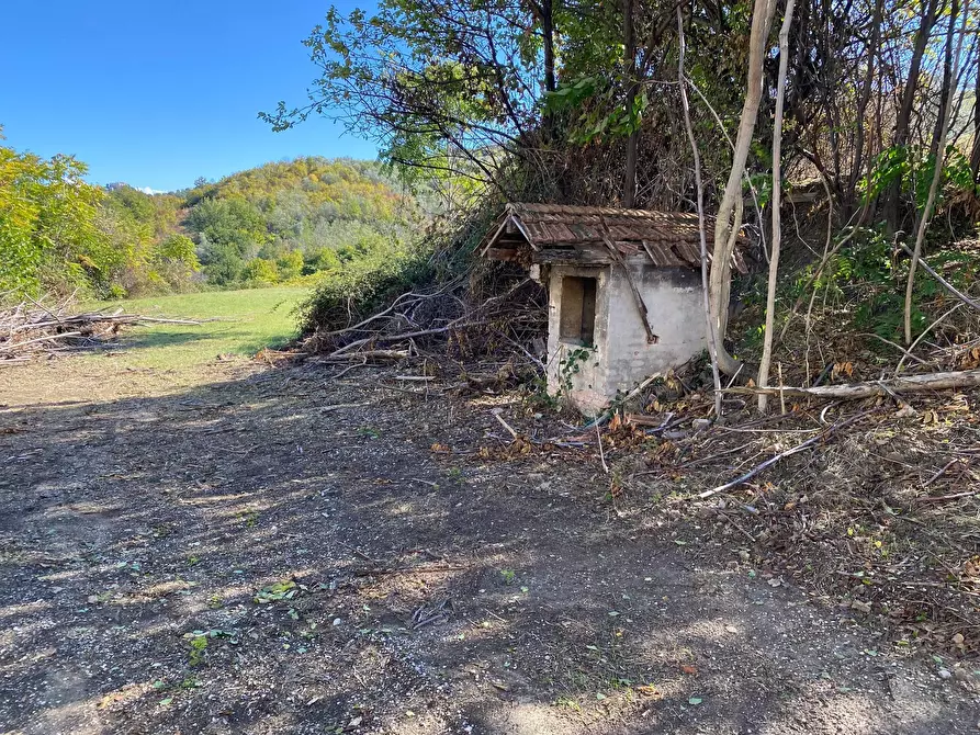 Immagine 17 di Casa indipendente in vendita  in via piane tronto a Ancarano