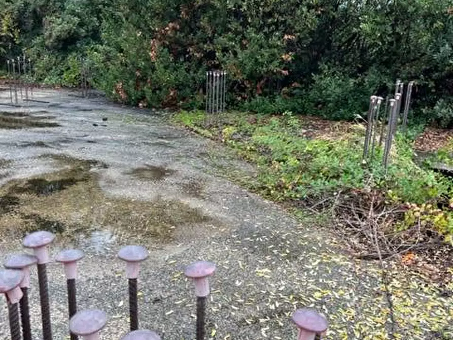 Immagine 9 di Terreno residenziale in vendita  in Via Muracche I a Tortoreto
