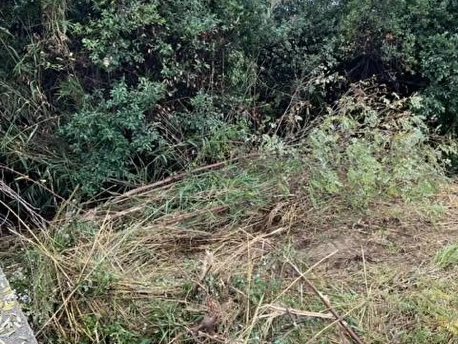 Immagine 10 di Terreno residenziale in vendita  in Via Muracche I a Tortoreto