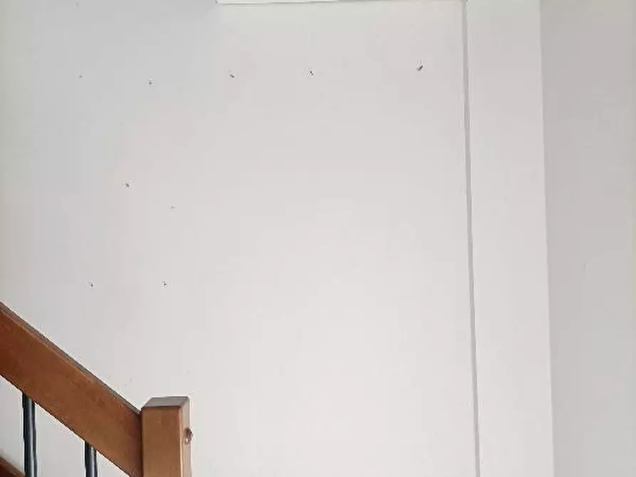 Immagine 20 di Appartamento in affitto  in via Rimini 7 a Tortoreto