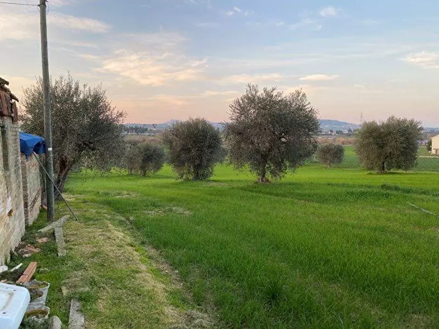 Immagine 3 di Terreno agricolo in vendita  in Via del vecchio forte snc a Alba Adriatica