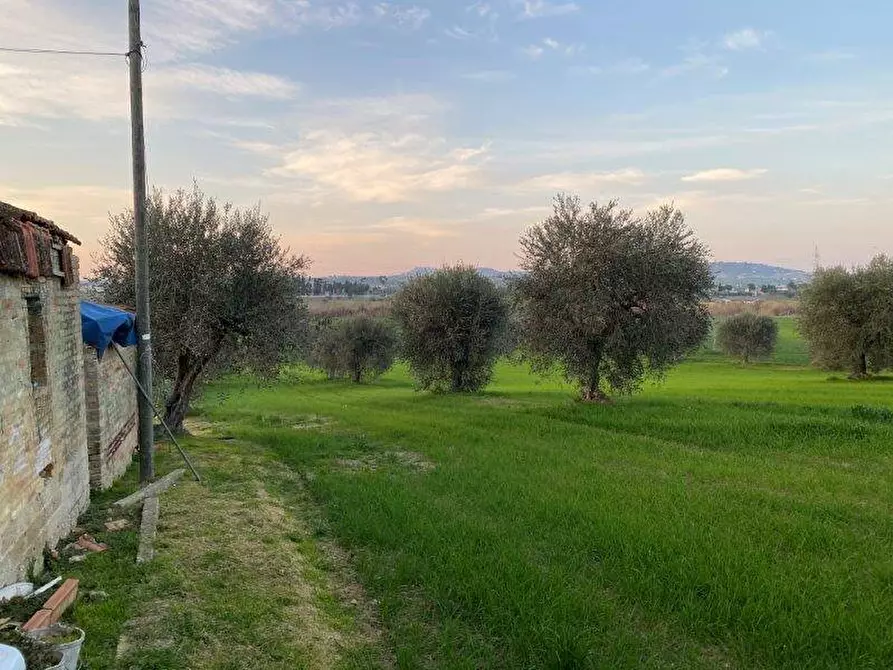 Immagine 7 di Terreno agricolo in vendita  in Via del vecchio forte snc a Alba Adriatica