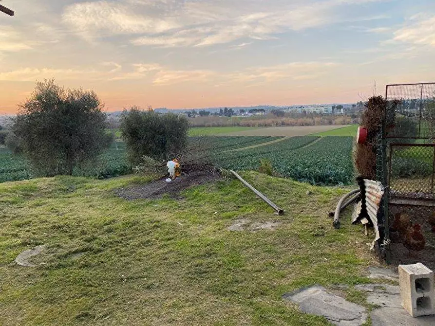 Immagine 8 di Terreno agricolo in vendita  in Via del vecchio forte snc a Alba Adriatica
