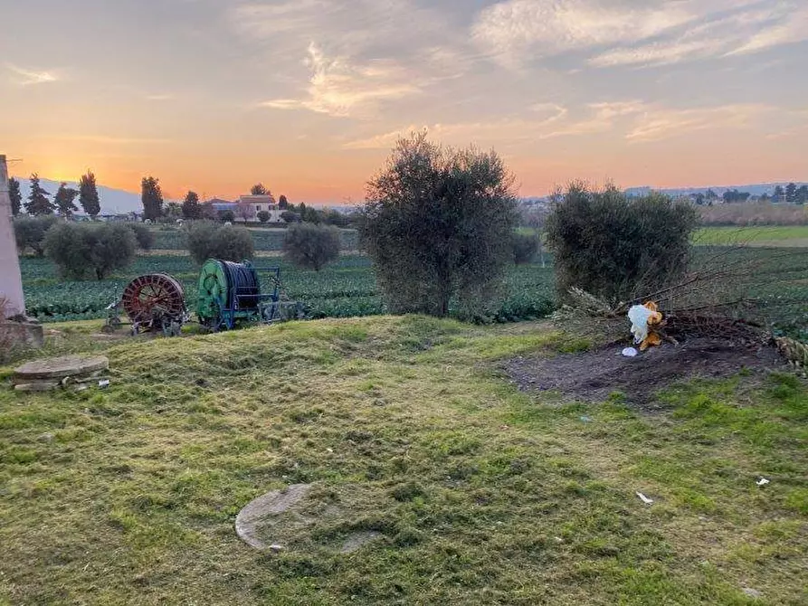 Immagine 9 di Terreno agricolo in vendita  in Via del vecchio forte snc a Alba Adriatica