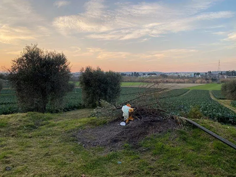 Immagine 10 di Terreno agricolo in vendita  in Via del vecchio forte snc a Alba Adriatica