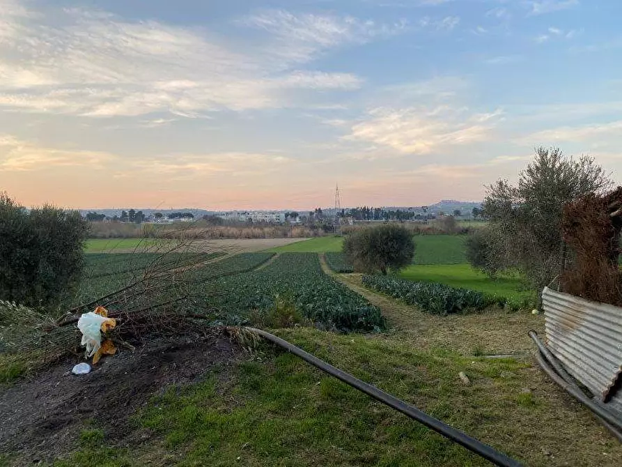 Immagine 11 di Terreno agricolo in vendita  in Via del vecchio forte snc a Alba Adriatica