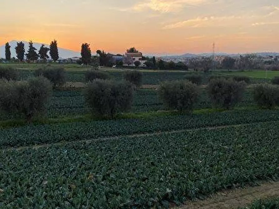 Immagine 13 di Terreno agricolo in vendita  in Via del vecchio forte snc a Alba Adriatica
