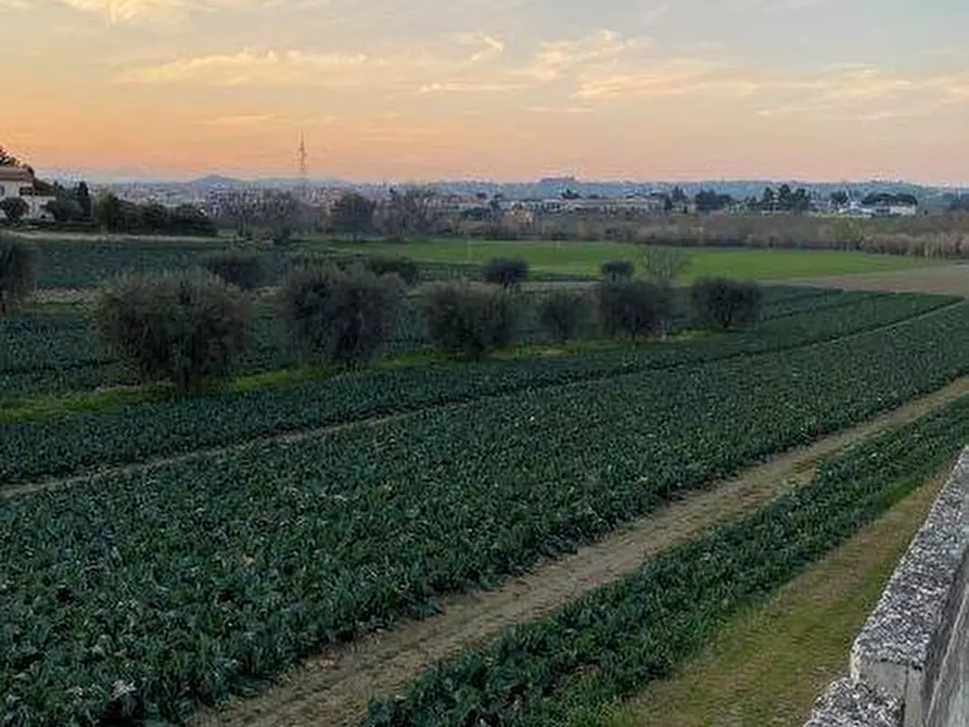 Immagine 14 di Terreno agricolo in vendita  in Via del vecchio forte snc a Alba Adriatica