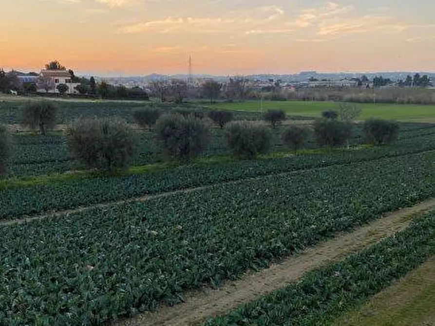 Immagine 15 di Terreno agricolo in vendita  in Via del vecchio forte snc a Alba Adriatica