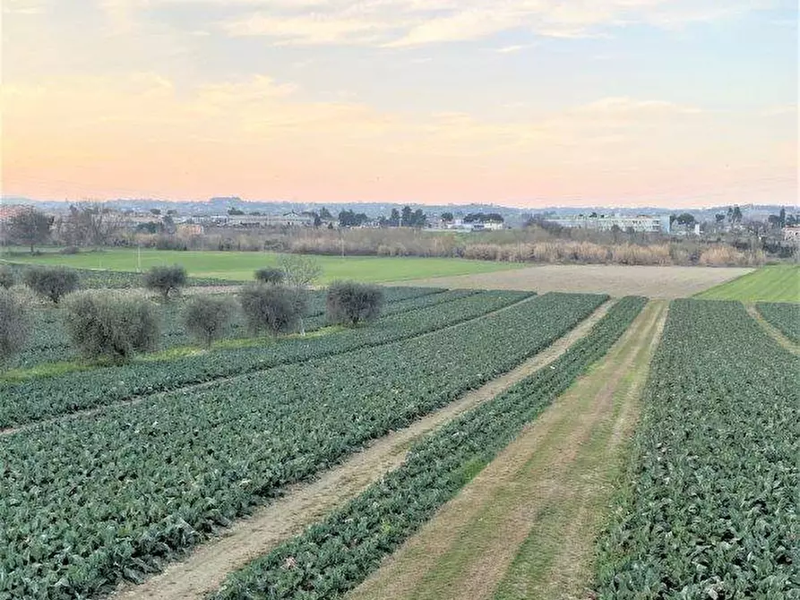 Immagine 16 di Terreno agricolo in vendita  in Via del vecchio forte snc a Alba Adriatica