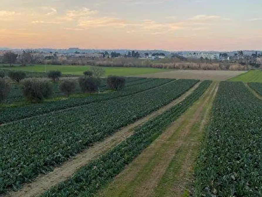 Immagine 17 di Terreno agricolo in vendita  in Via del vecchio forte snc a Alba Adriatica