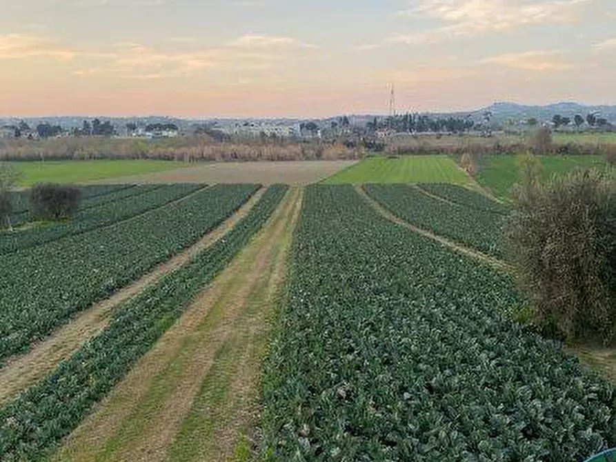 Immagine 18 di Terreno agricolo in vendita  in Via del vecchio forte snc a Alba Adriatica