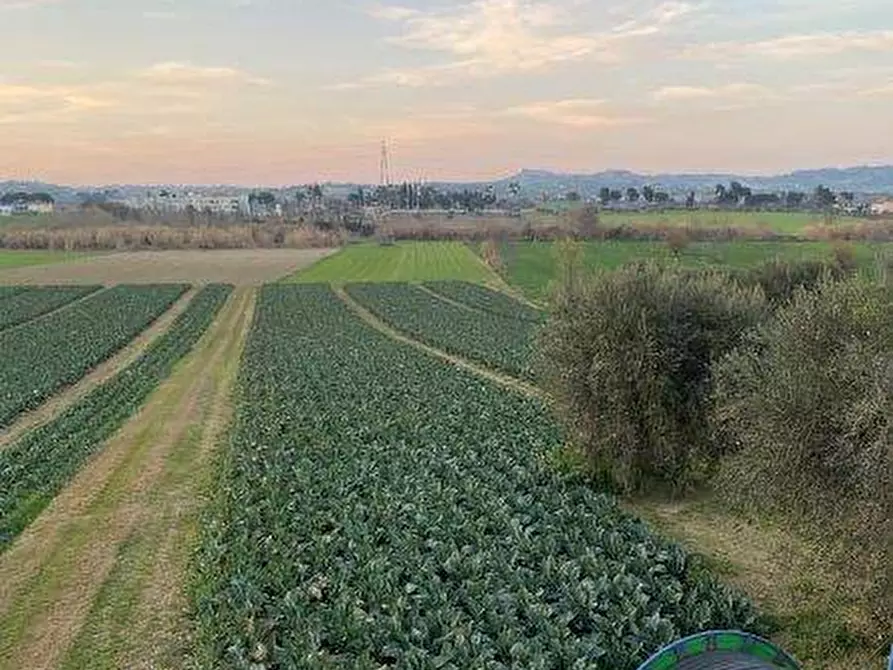 Immagine 19 di Terreno agricolo in vendita  in Via del vecchio forte snc a Alba Adriatica