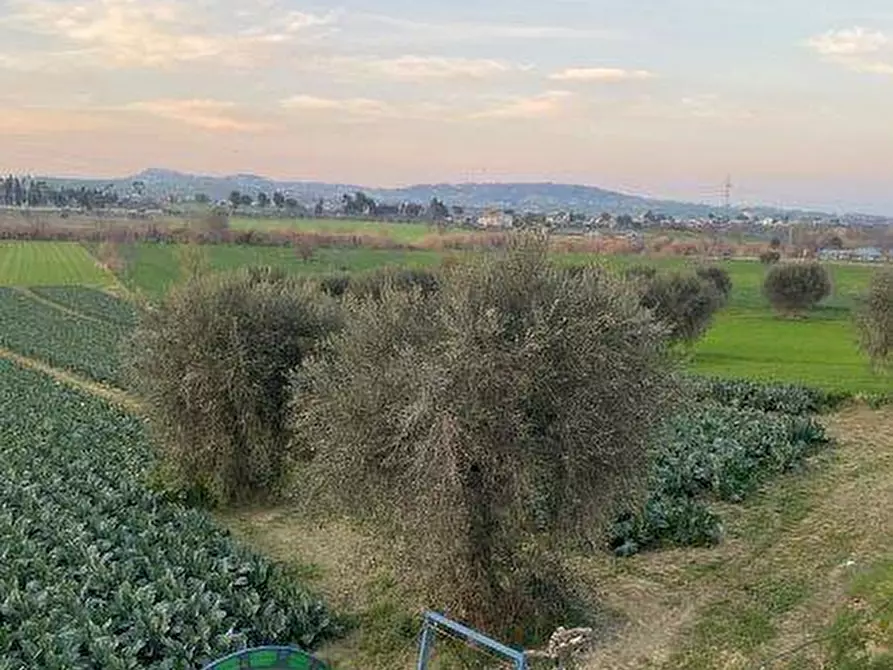 Immagine 20 di Terreno agricolo in vendita  in Via del vecchio forte snc a Alba Adriatica