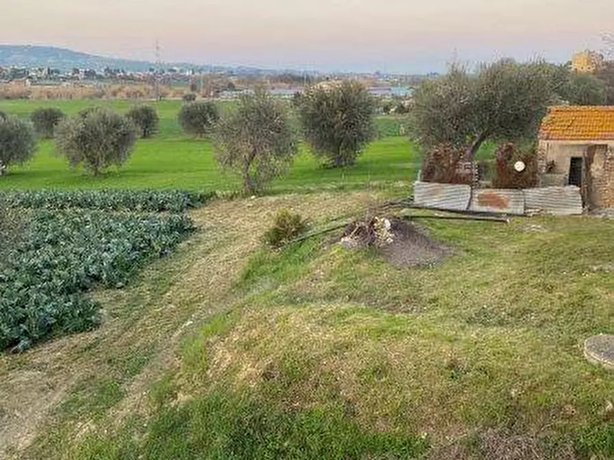 Immagine 21 di Terreno agricolo in vendita  in Via del vecchio forte snc a Alba Adriatica