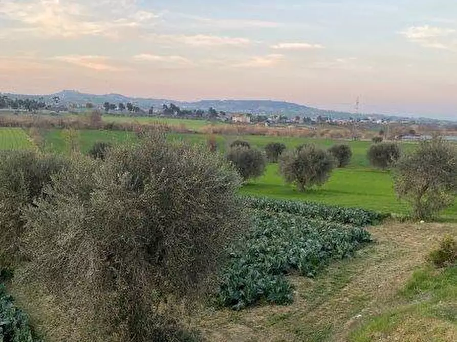 Immagine 22 di Terreno agricolo in vendita  in Via del vecchio forte snc a Alba Adriatica