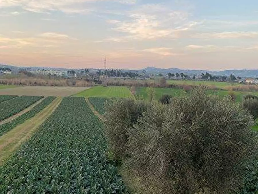 Immagine 23 di Terreno agricolo in vendita  in Via del vecchio forte snc a Alba Adriatica