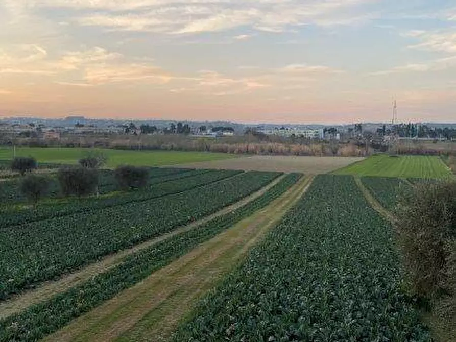 Immagine 1 di Terreno agricolo in vendita  in Via del vecchio forte snc a Alba Adriatica