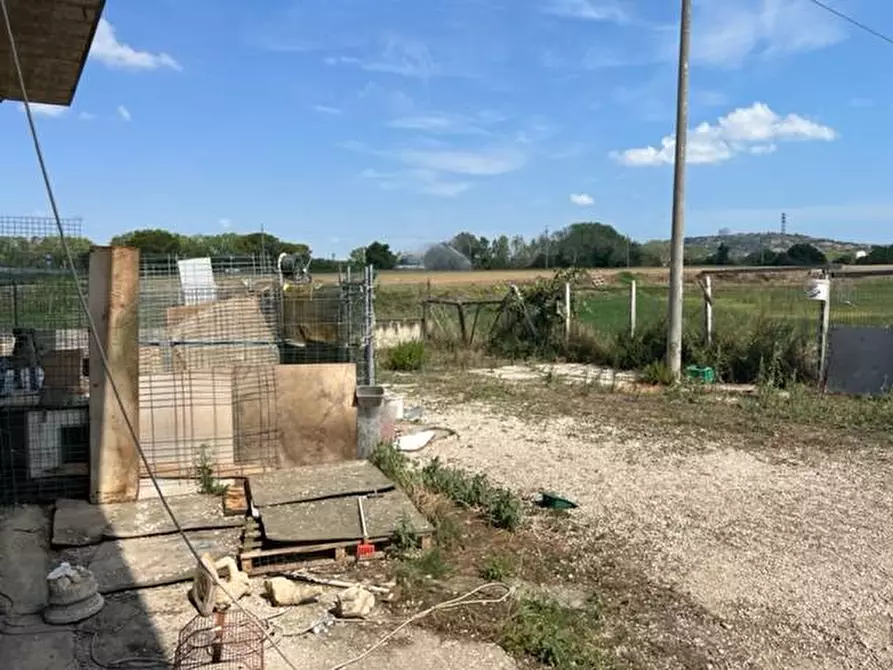 Immagine 6 di Capannone industriale in vendita  in VIA RIPOLI a Corropoli