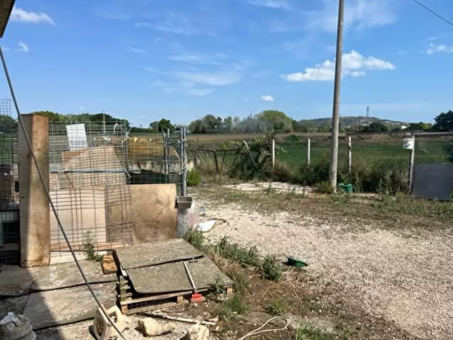Immagine 7 di Capannone industriale in vendita  in VIA RIPOLI a Corropoli