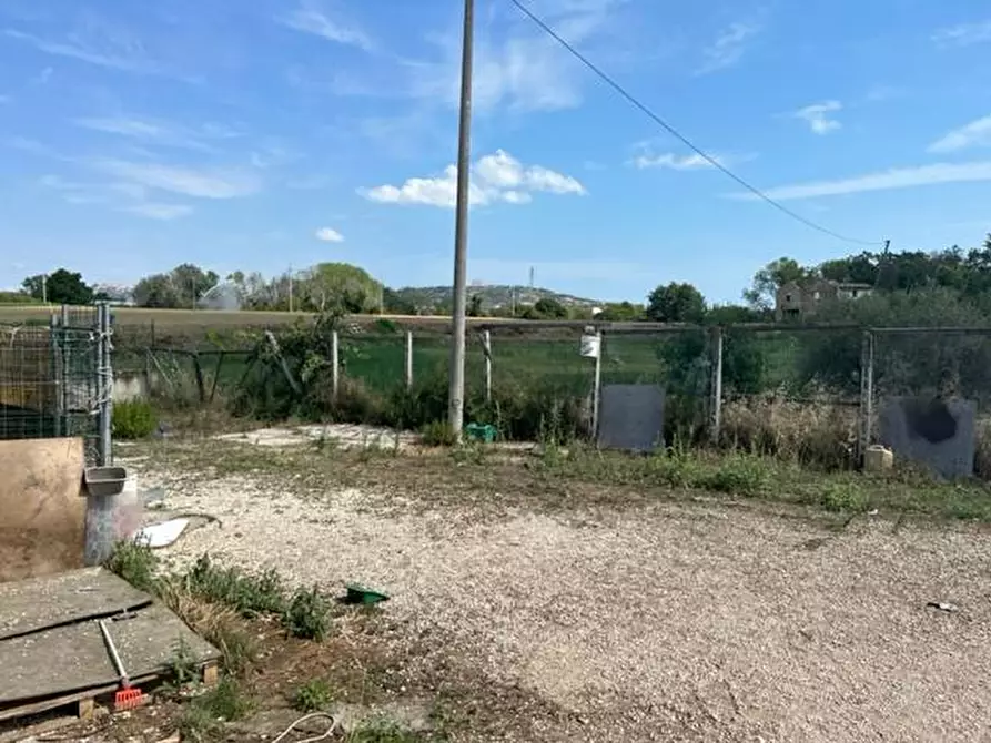 Immagine 5 di Capannone industriale in vendita  in VIA RIPOLI a Corropoli