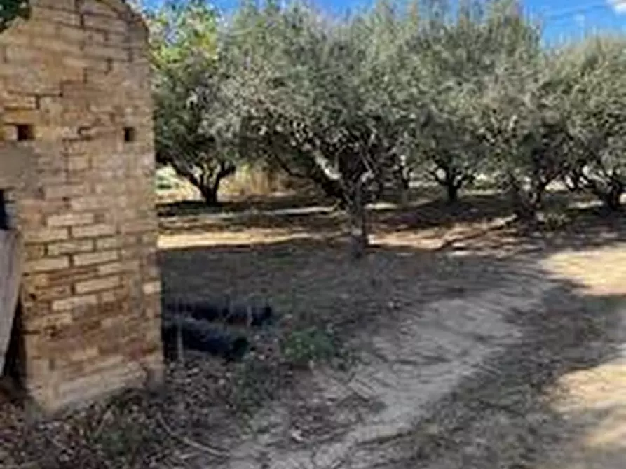 Immagine 13 di Rustico / casale in vendita  in VIA DEL VECCHIO FORTE a Alba Adriatica