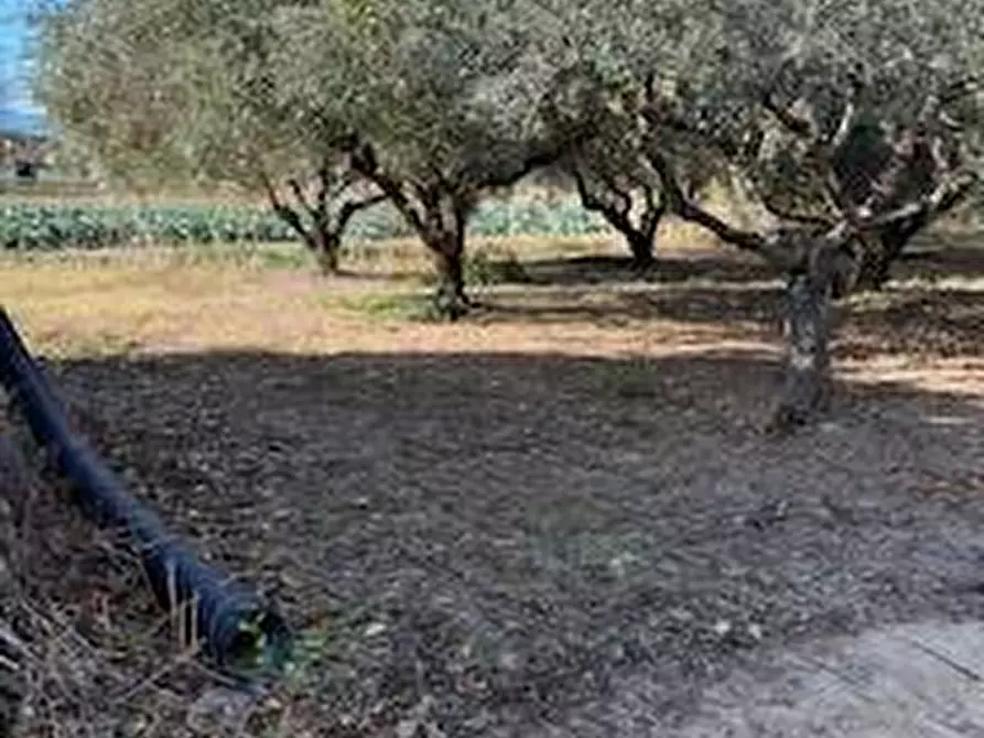 Immagine 14 di Rustico / casale in vendita  in VIA DEL VECCHIO FORTE a Alba Adriatica