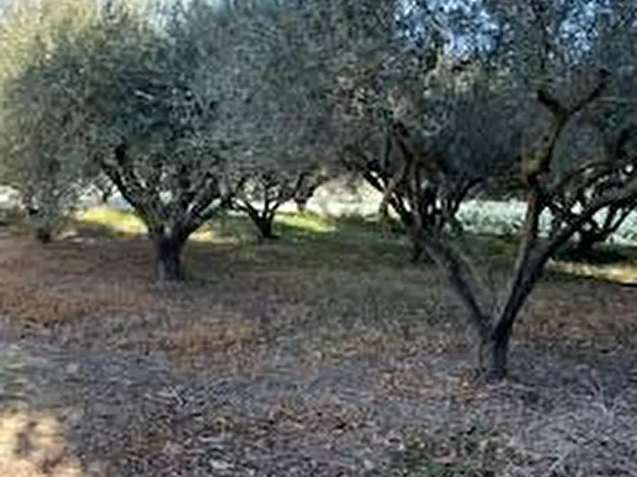 Immagine 15 di Rustico / casale in vendita  in VIA DEL VECCHIO FORTE a Alba Adriatica