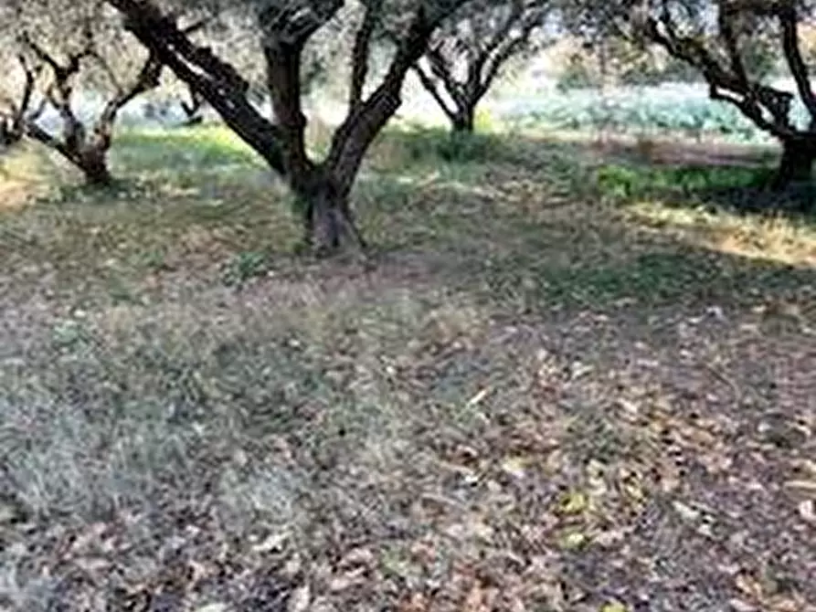 Immagine 16 di Rustico / casale in vendita  in VIA DEL VECCHIO FORTE a Alba Adriatica