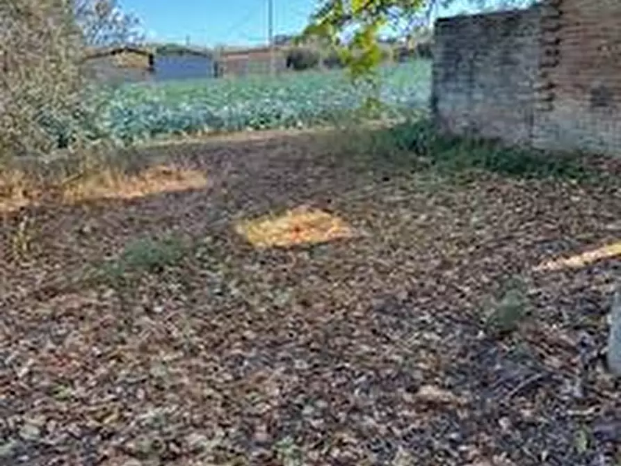 Immagine 17 di Rustico / casale in vendita  in VIA DEL VECCHIO FORTE a Alba Adriatica