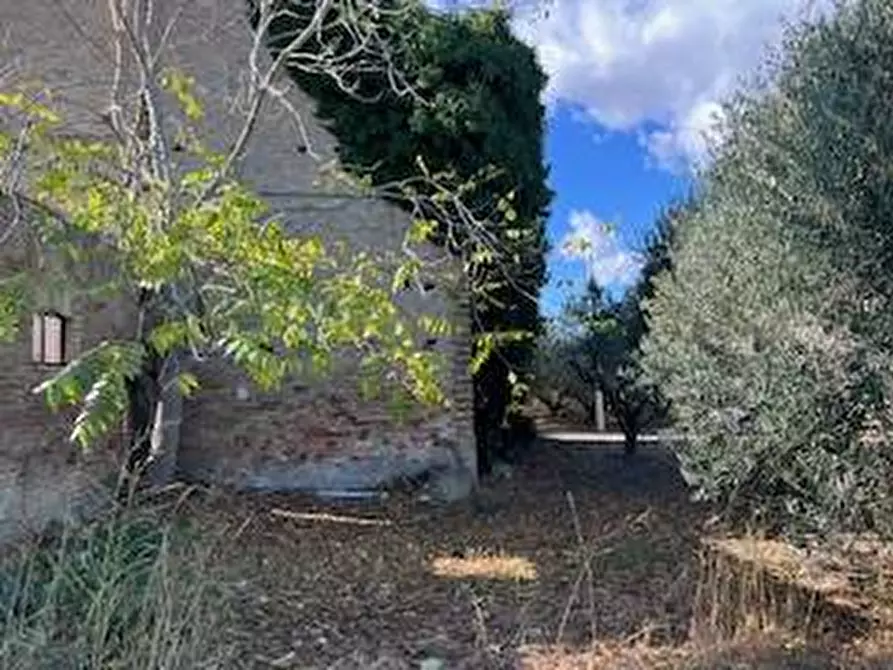 Immagine 20 di Rustico / casale in vendita  in VIA DEL VECCHIO FORTE a Alba Adriatica