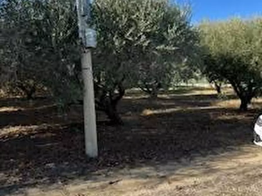 Immagine 23 di Rustico / casale in vendita  in VIA DEL VECCHIO FORTE a Alba Adriatica