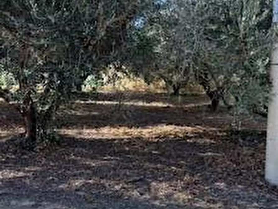 Immagine 24 di Rustico / casale in vendita  in VIA DEL VECCHIO FORTE a Alba Adriatica