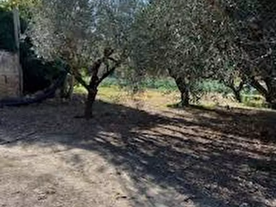 Immagine 25 di Rustico / casale in vendita  in VIA DEL VECCHIO FORTE a Alba Adriatica