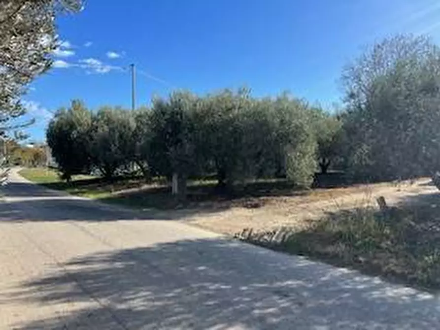 Immagine 26 di Rustico / casale in vendita  in VIA DEL VECCHIO FORTE a Alba Adriatica