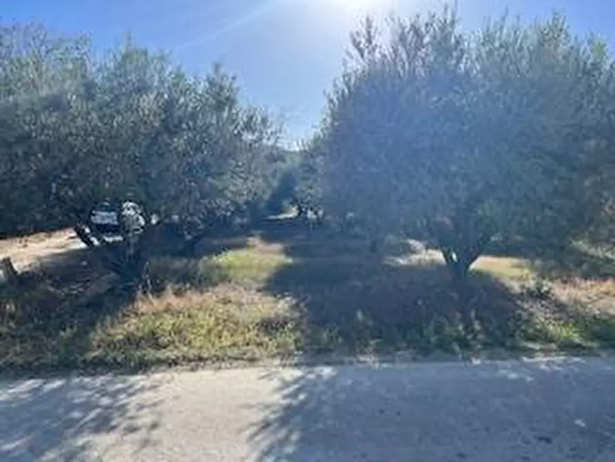 Immagine 27 di Rustico / casale in vendita  in VIA DEL VECCHIO FORTE a Alba Adriatica