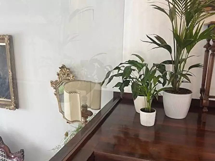 Immagine 42 di Villa in vendita  in VIALE MAZZINI 63 a Alba Adriatica