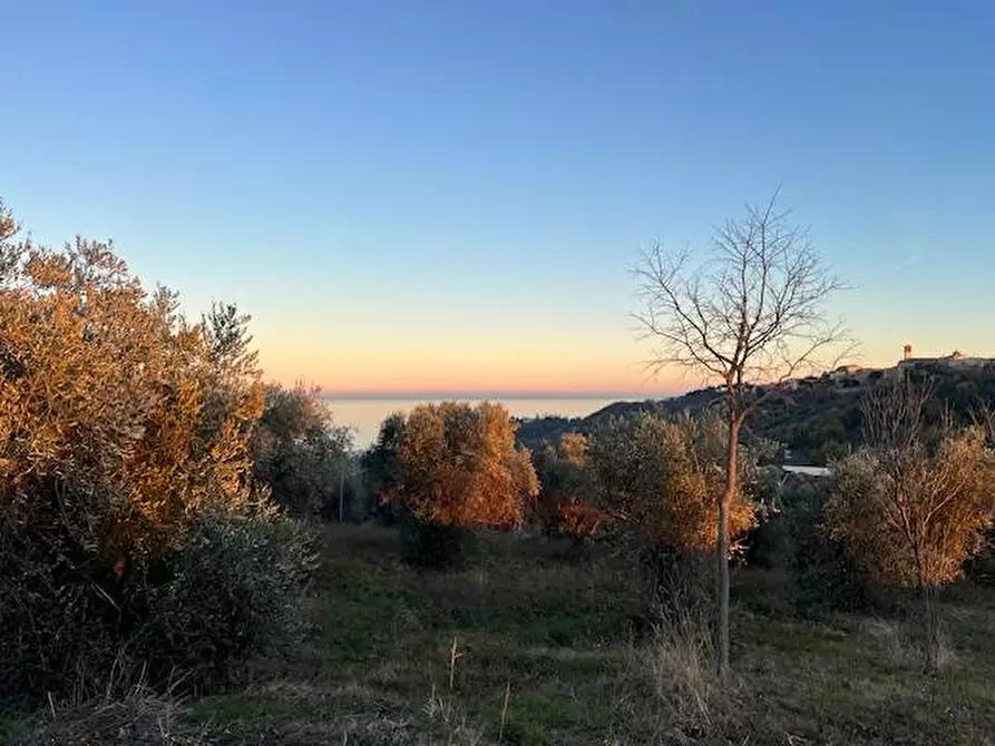 Immagine 4 di Terreno residenziale in vendita  in VIA XXIV MAGGIO snc a Tortoreto