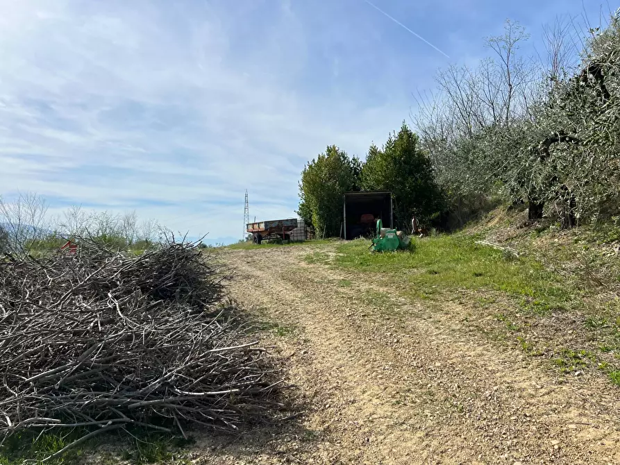 Immagine 1 di Terreno agricolo in vendita  in VIA DELL'ACQUEDOTTO SNC a Tortoreto