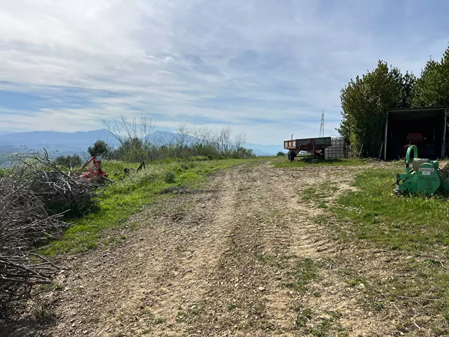Immagine 2 di Terreno agricolo in vendita  in VIA DELL'ACQUEDOTTO SNC a Tortoreto