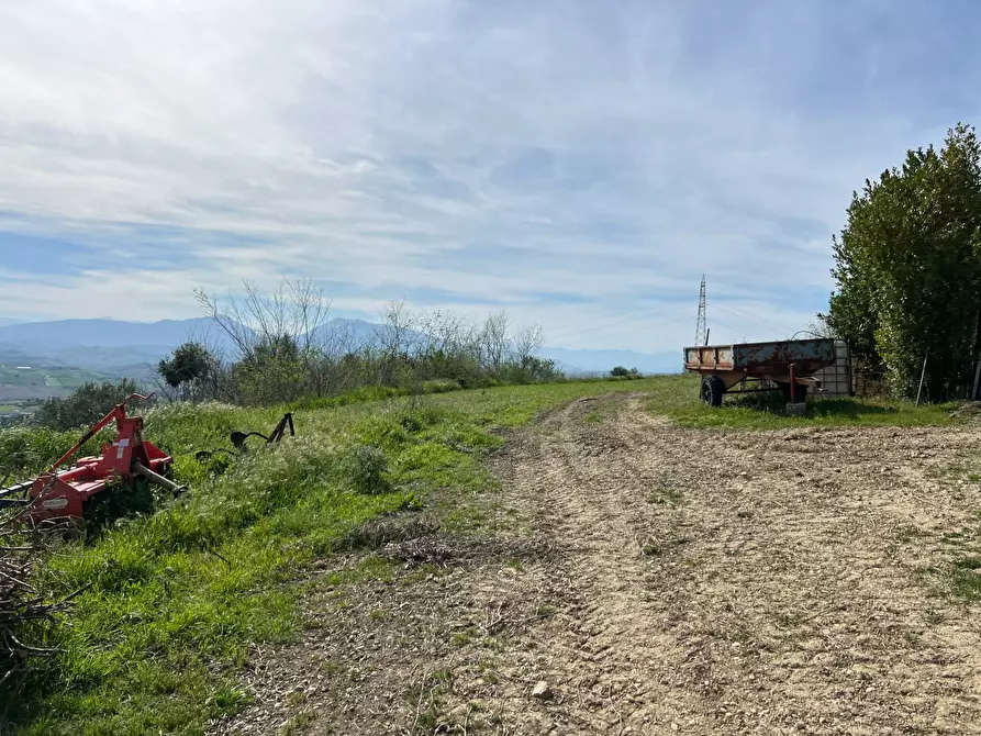 Immagine 3 di Terreno agricolo in vendita  in VIA DELL'ACQUEDOTTO SNC a Tortoreto