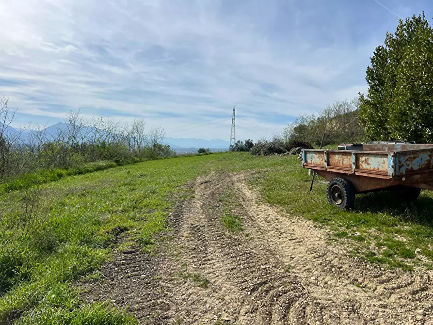 Immagine 4 di Terreno agricolo in vendita  in VIA DELL'ACQUEDOTTO SNC a Tortoreto
