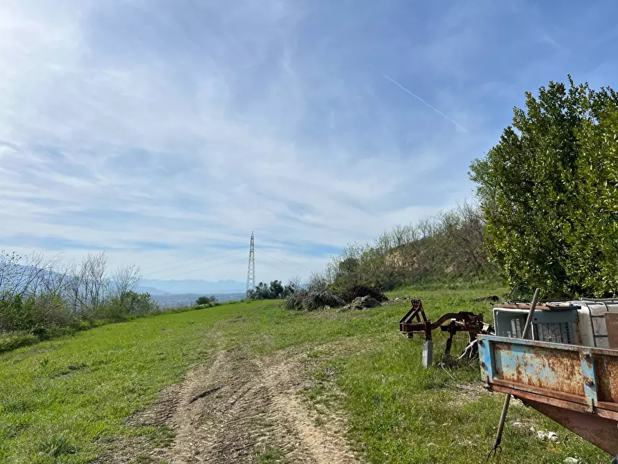 Immagine 5 di Terreno agricolo in vendita  in VIA DELL'ACQUEDOTTO SNC a Tortoreto