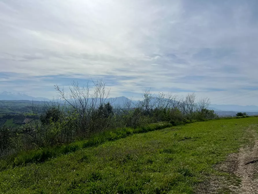 Immagine 6 di Terreno agricolo in vendita  in VIA DELL'ACQUEDOTTO SNC a Tortoreto