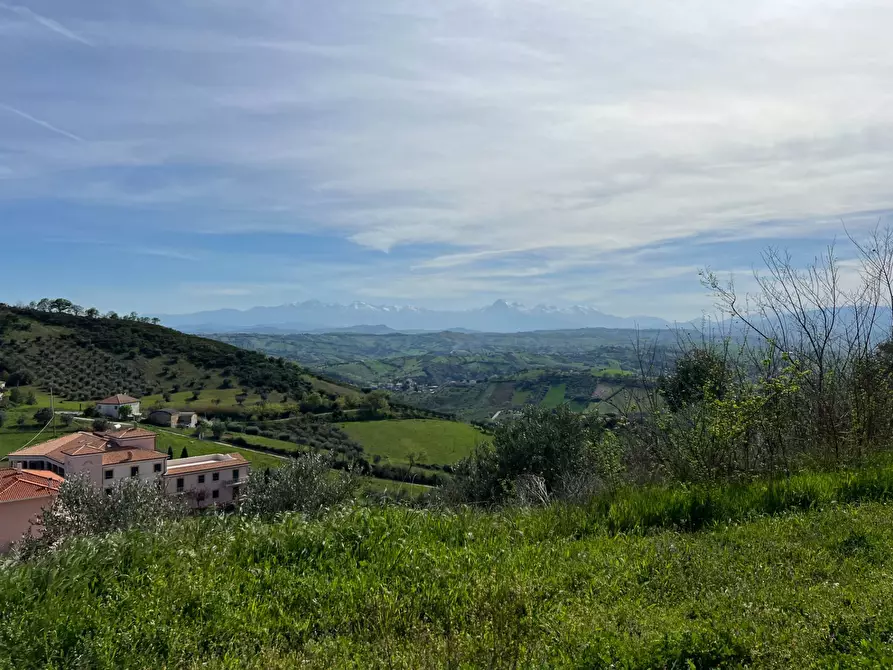 Immagine 7 di Terreno agricolo in vendita  in VIA DELL'ACQUEDOTTO SNC a Tortoreto