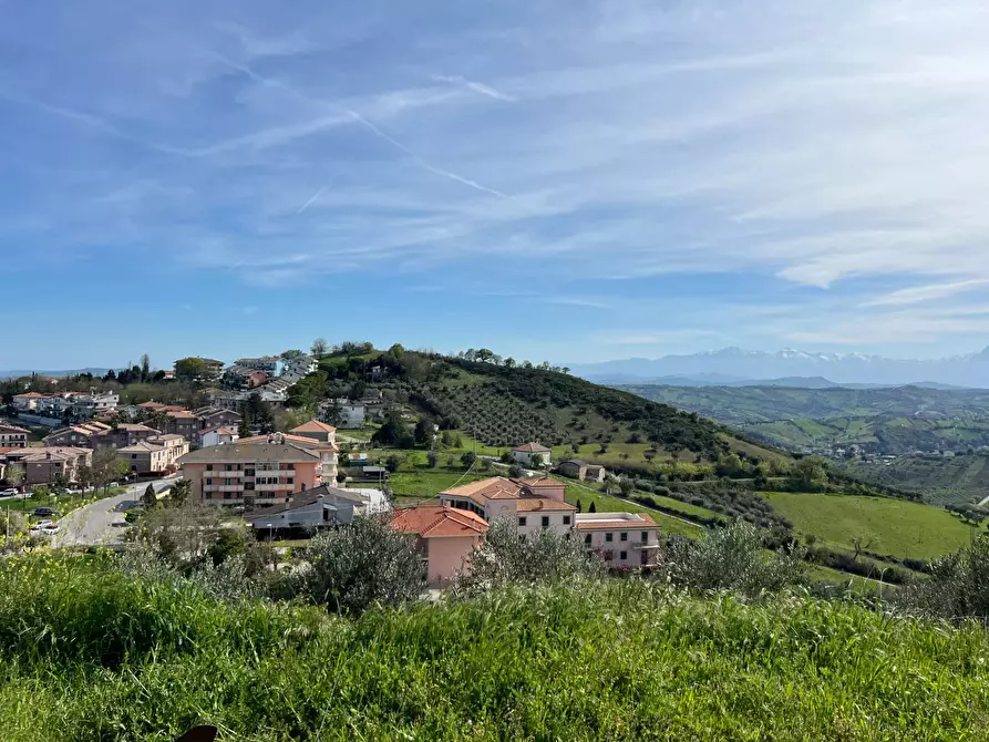 Immagine 8 di Terreno agricolo in vendita  in VIA DELL'ACQUEDOTTO SNC a Tortoreto