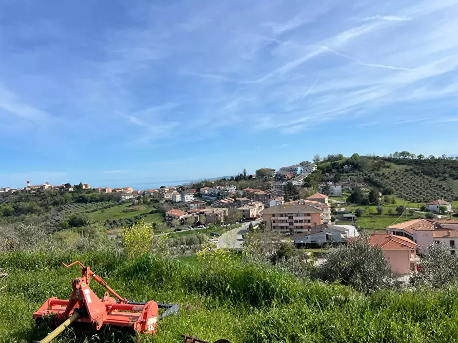 Immagine 9 di Terreno agricolo in vendita  in VIA DELL'ACQUEDOTTO SNC a Tortoreto